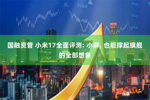 国融资管 小米17全面评测: 小屏, 也能撑起旗舰的全部想象