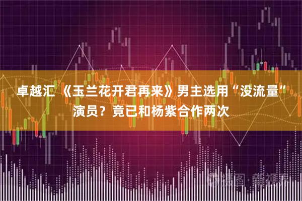卓越汇 《玉兰花开君再来》男主选用“没流量”演员？竟已和杨紫合作两次