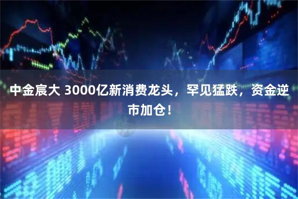 中金宸大 3000亿新消费龙头，罕见猛跌，资金逆市加仓！