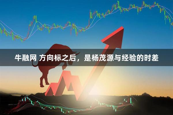牛融网 方向标之后，是杨茂源与经验的时差